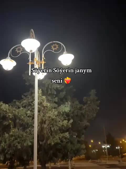 @𝒮𝓎𝓁𝒶𝓅_🥷🏻💚