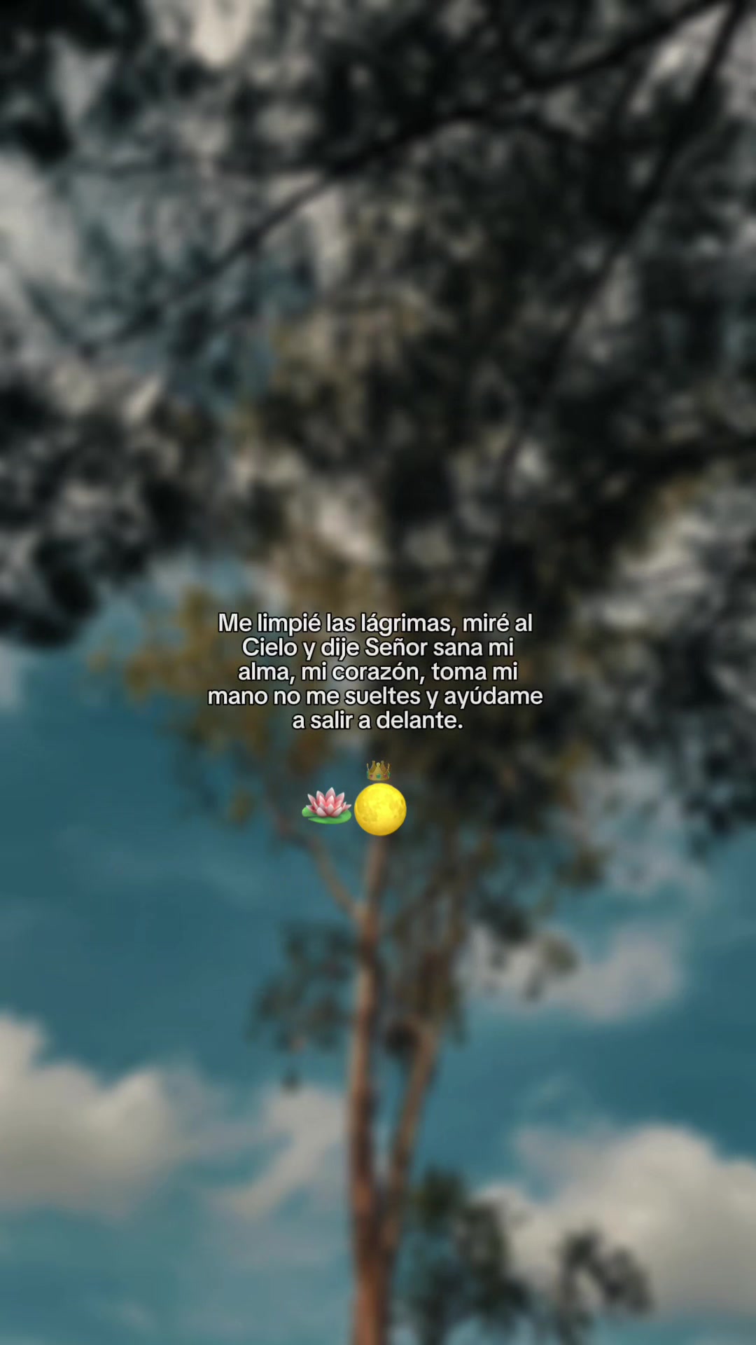 @🌕🪷Escritos para ti✨