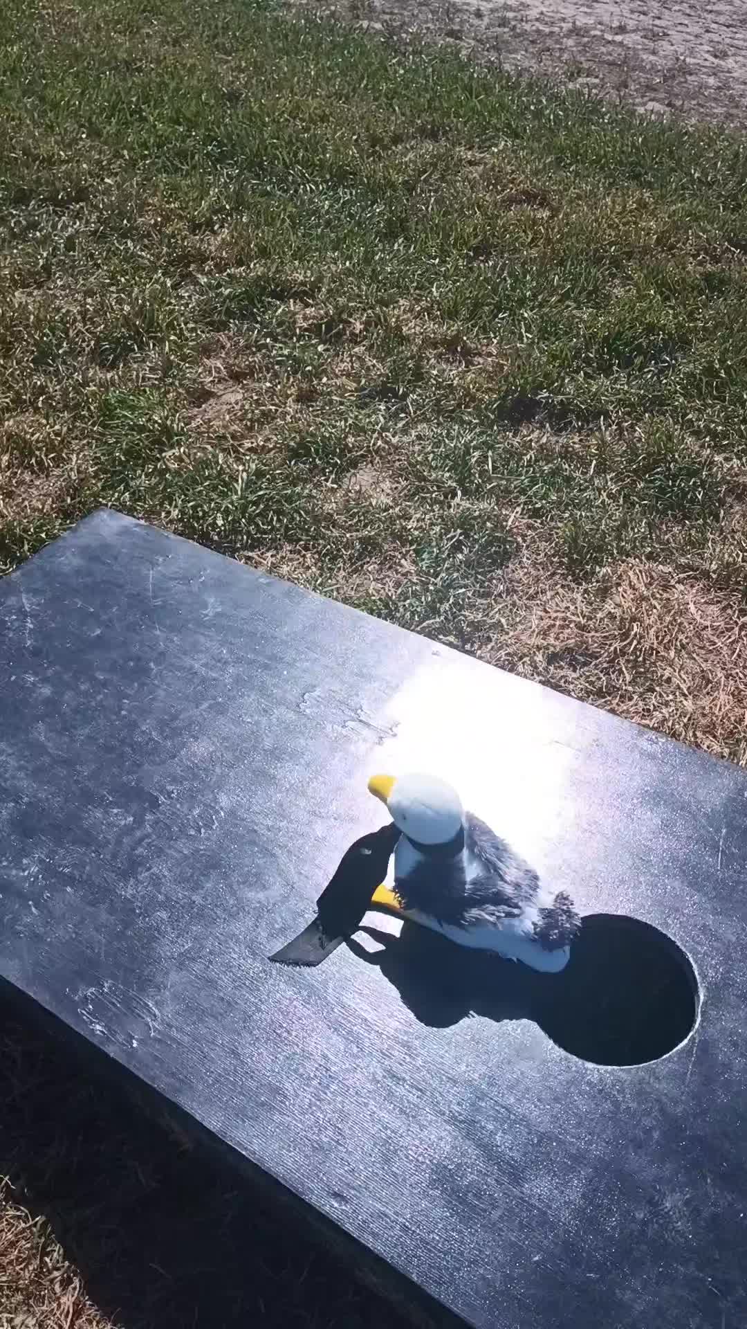 @emoc11