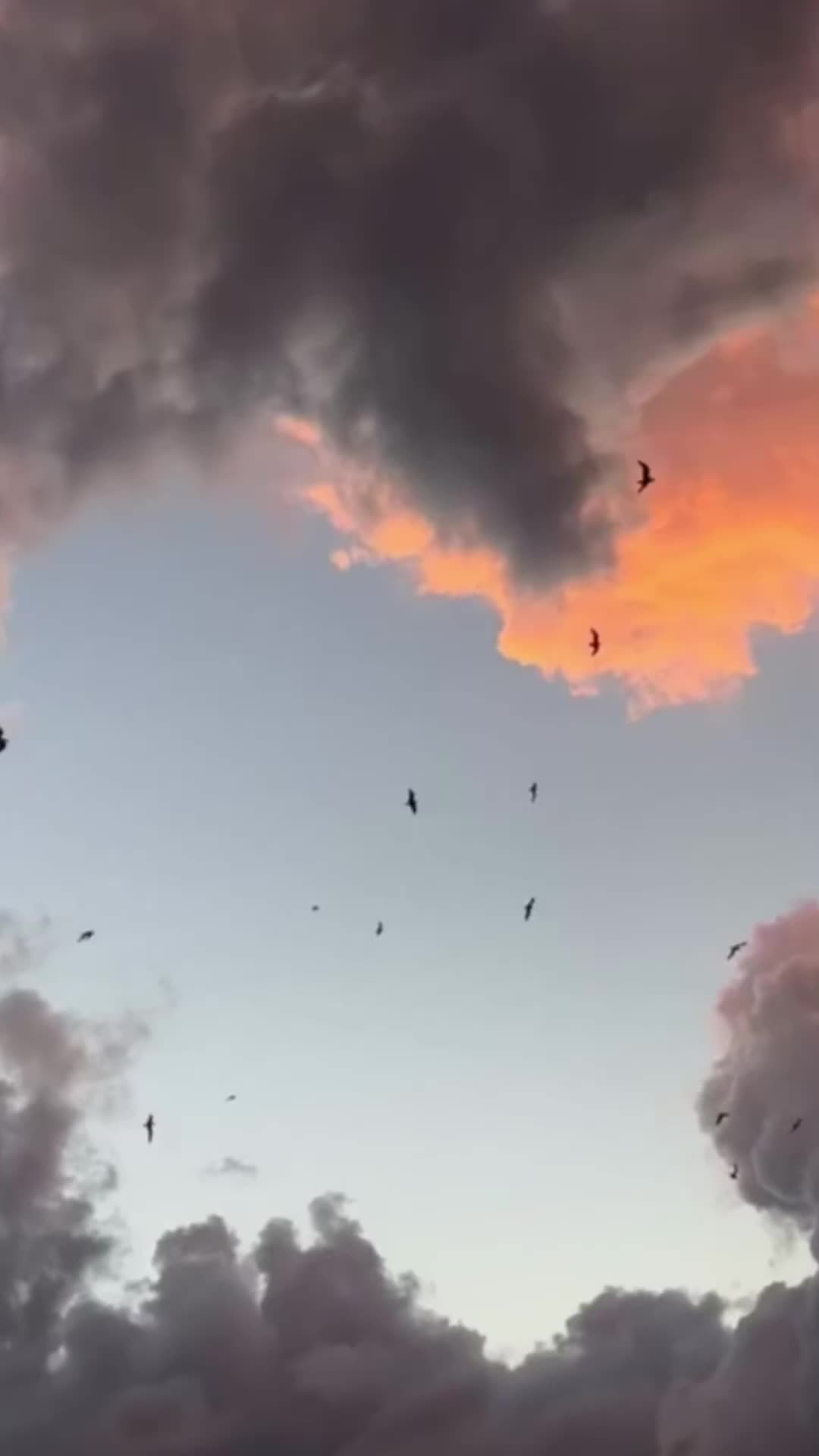 @𝙀 𝙈 𝘼 𝙉 🌸•