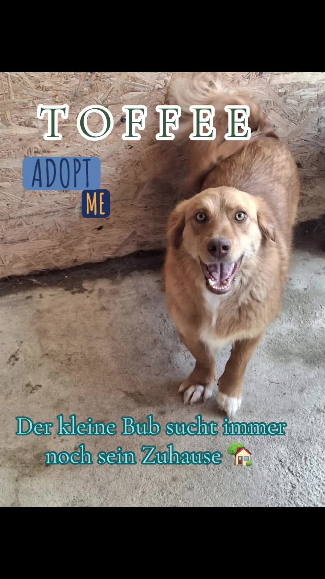 @Soulistas.Tierliebe