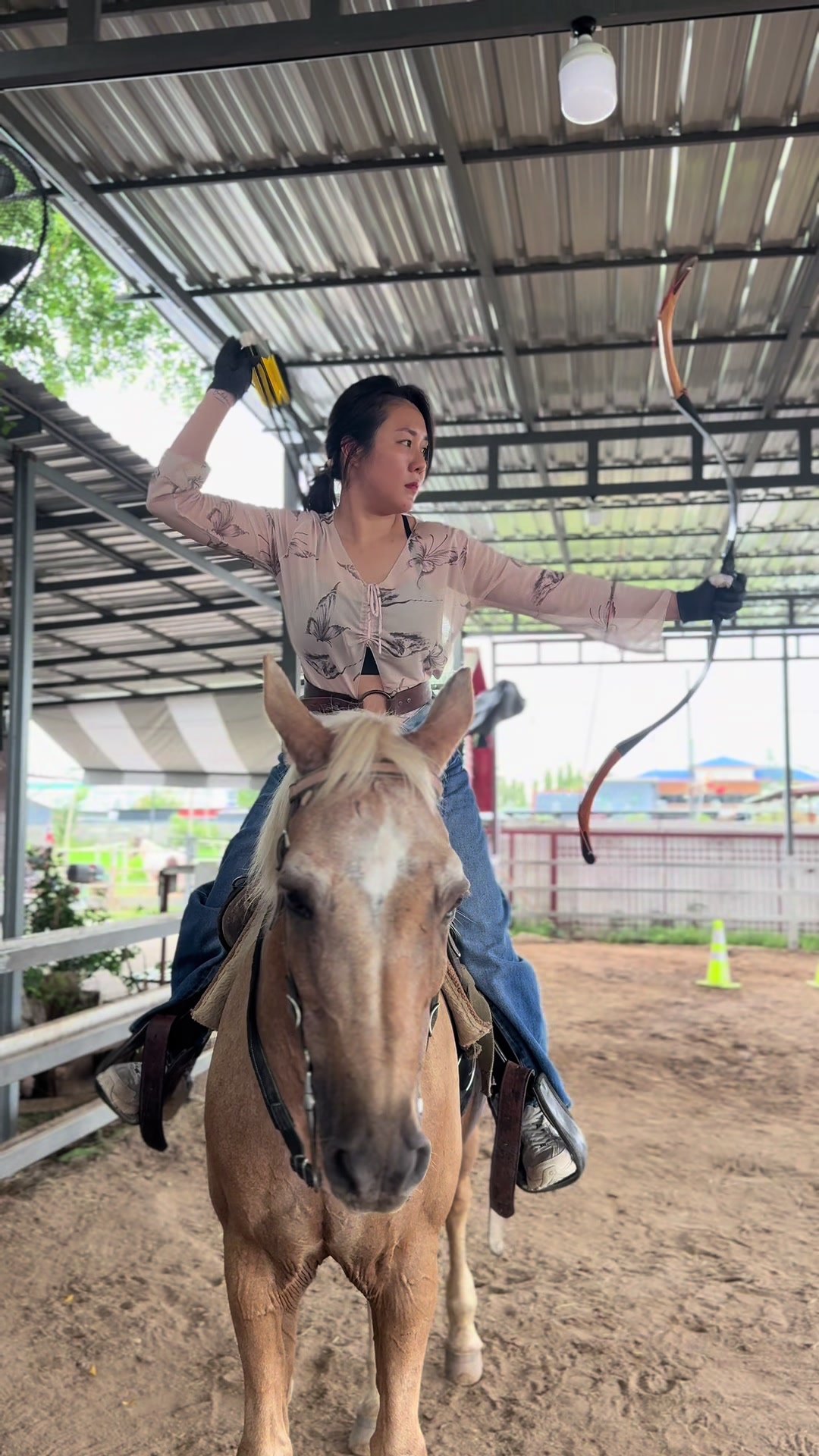 @วิถีฅนเลี้ยงม้า