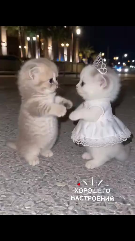 @🎀ЛАРИСА 🎀