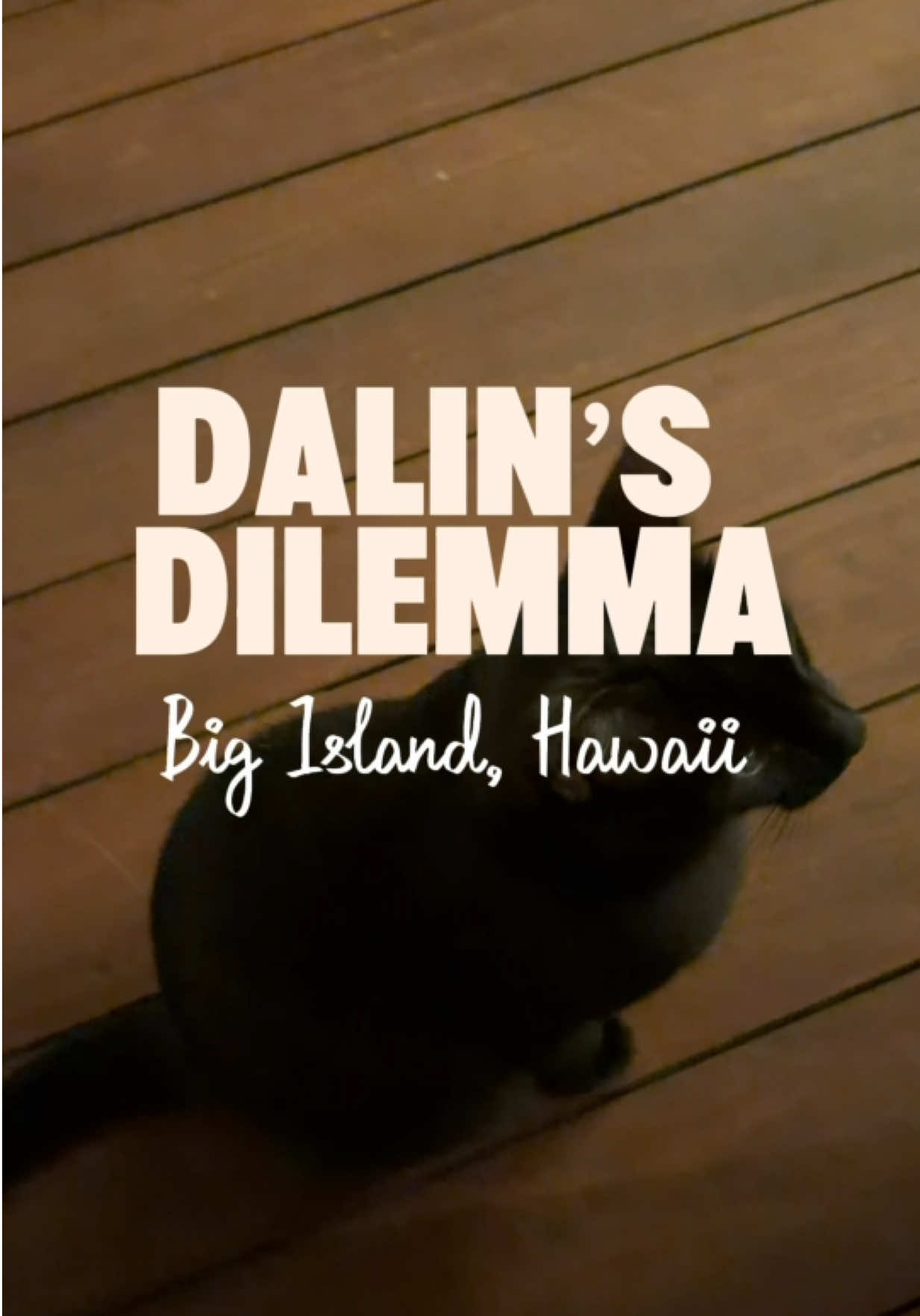 @Dalin LaDe’t