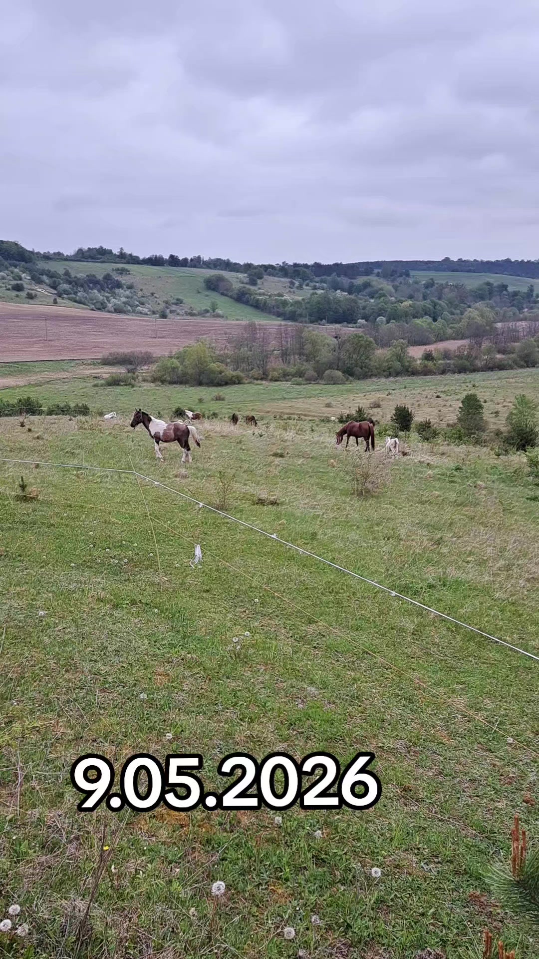 @Катерина Германюк