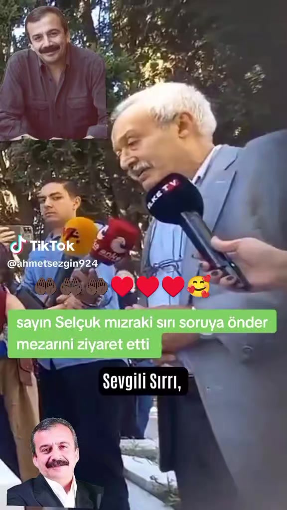 @elfidamm