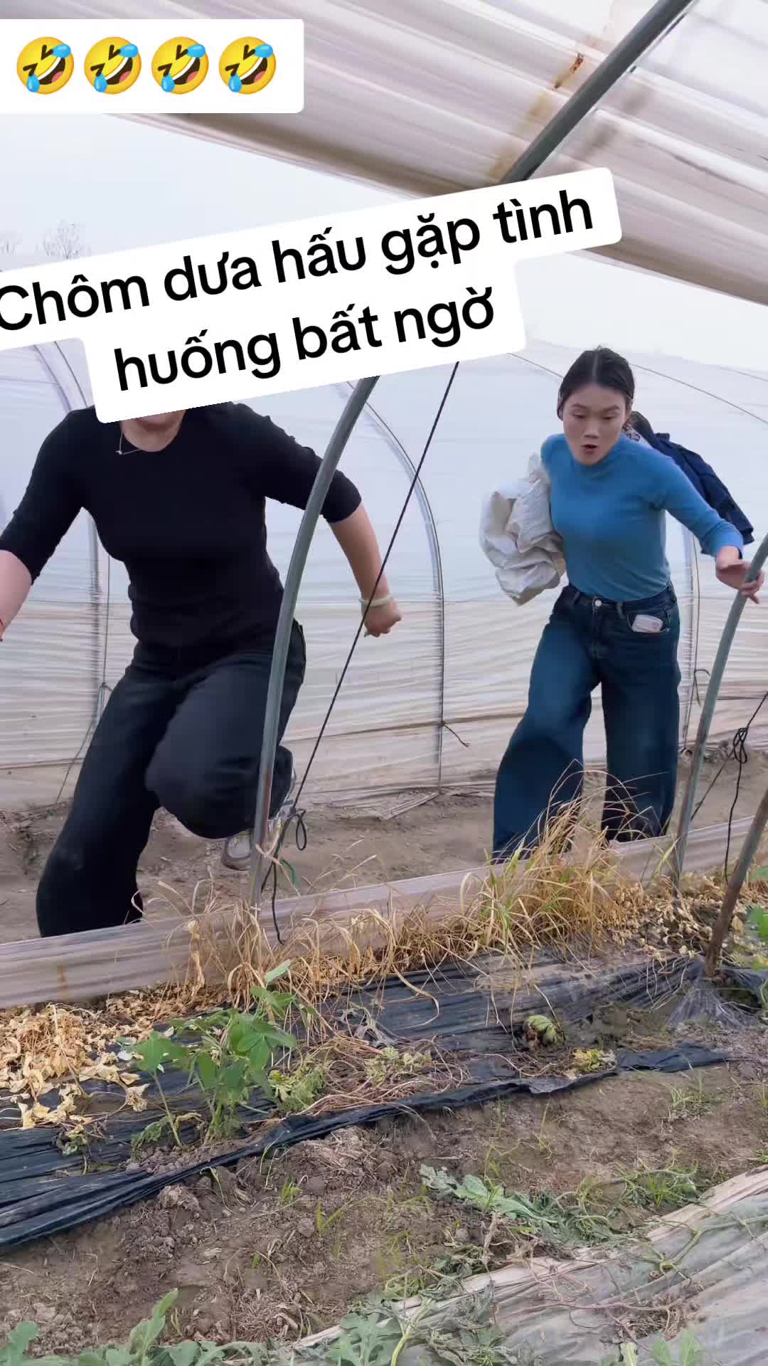 @QuynhKun
