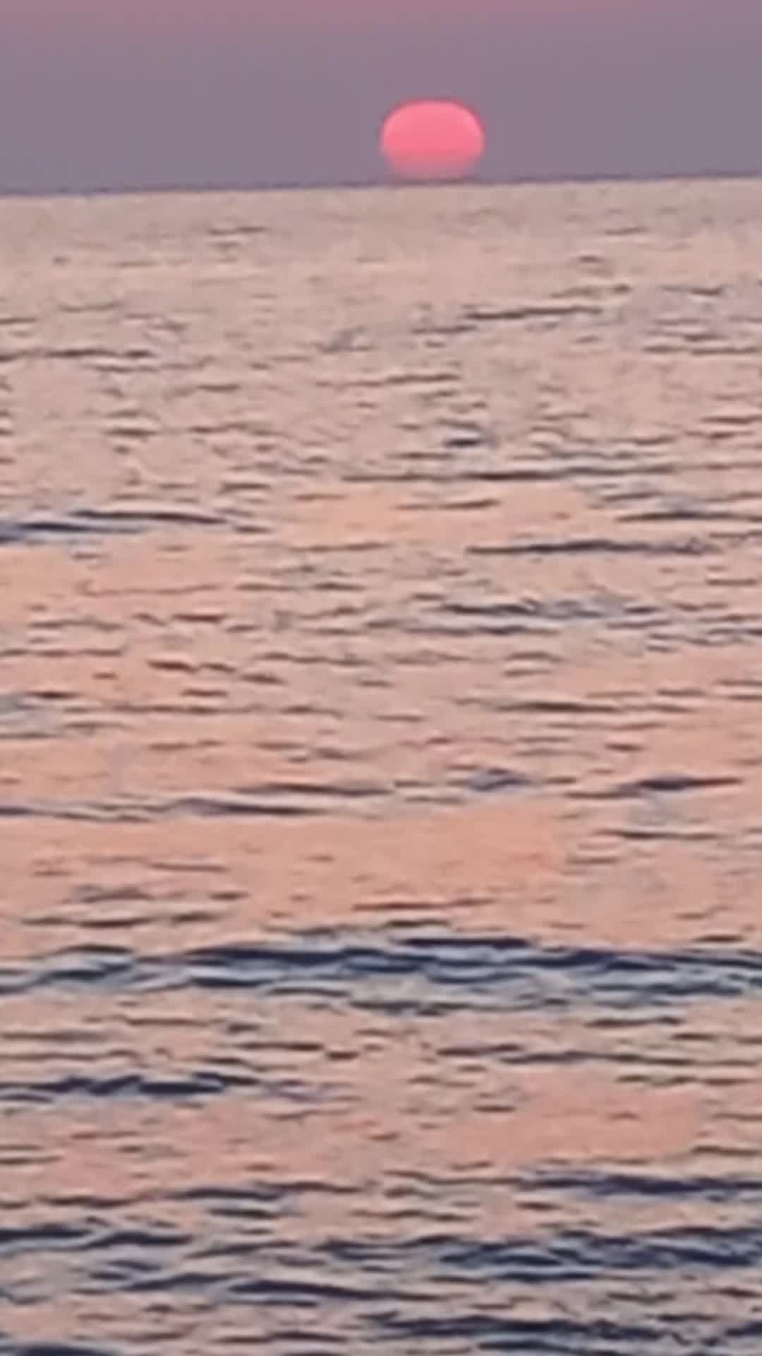 @liviaruff797