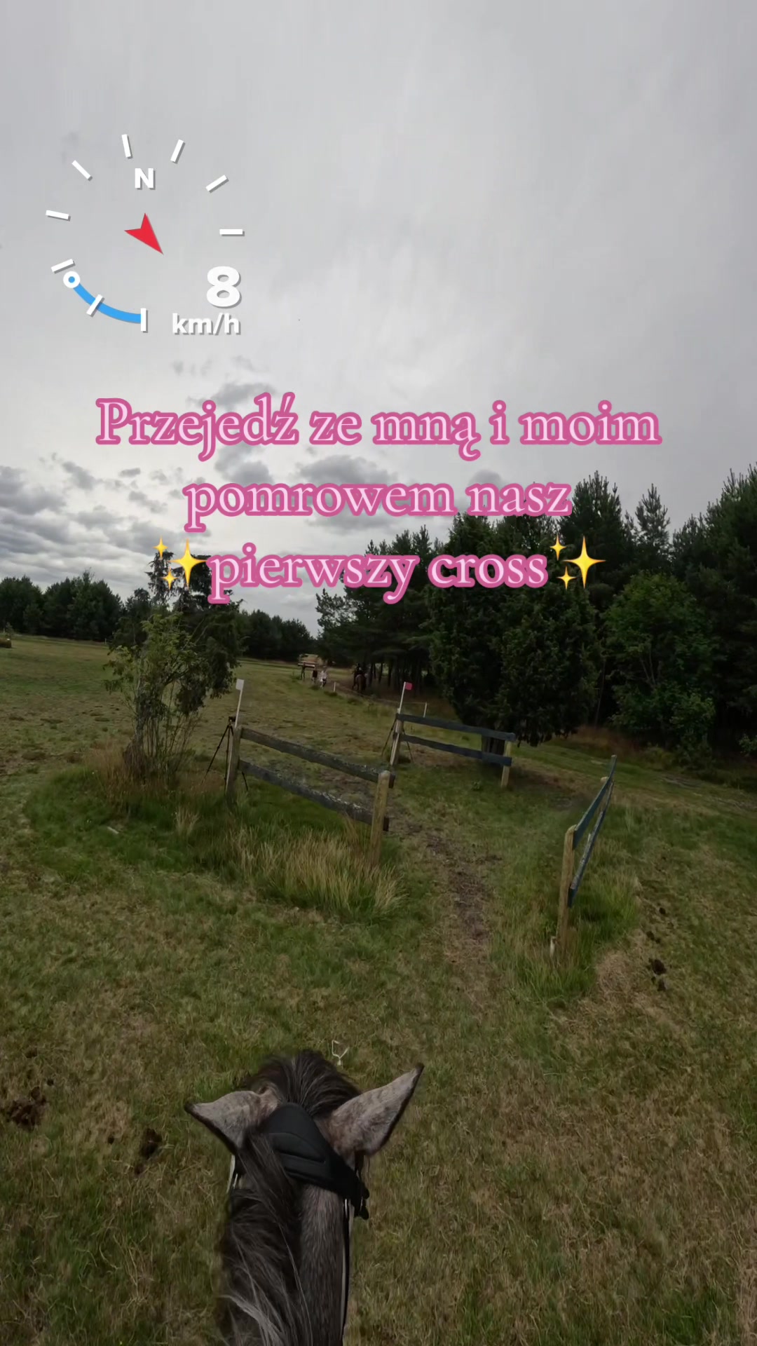 @Stajnia Miejsce Rozwoju