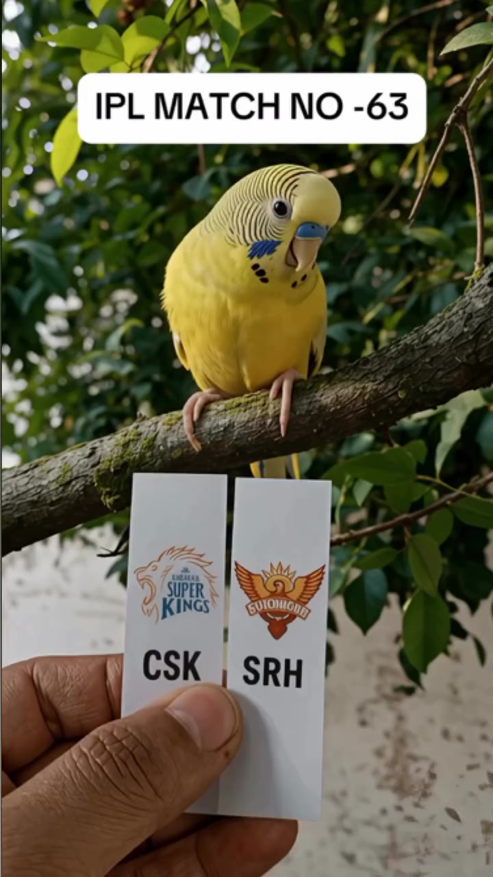 @Ms_Dhoni_sir_7