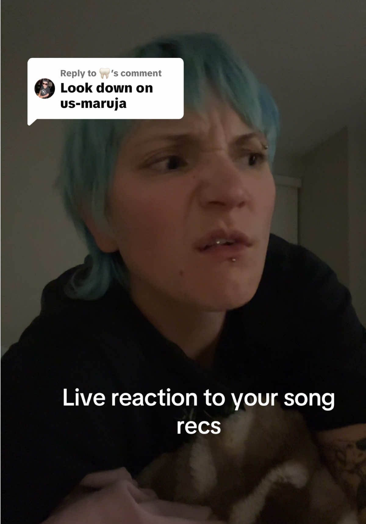 @maddynoellallen
