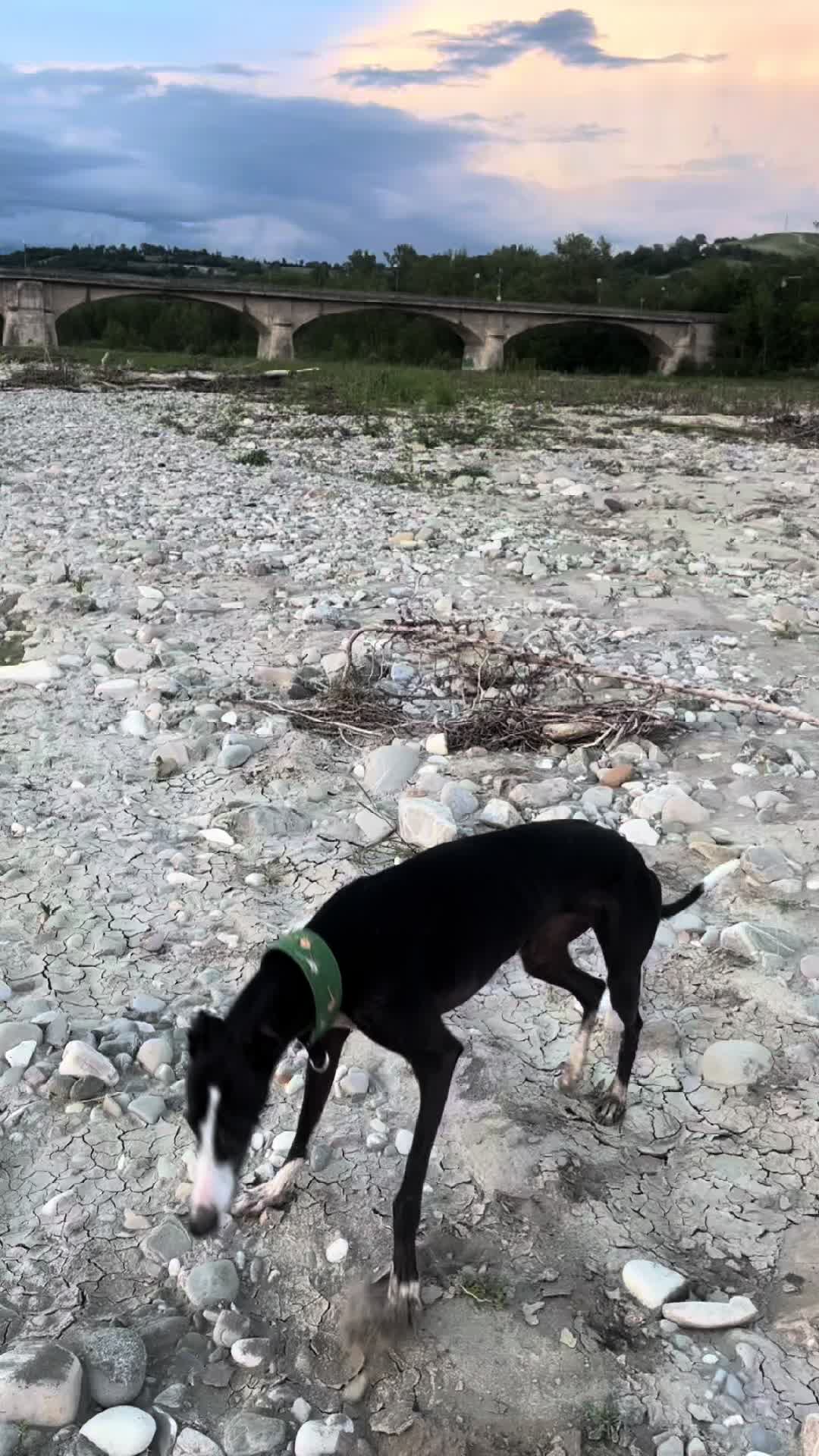 @Mariella Morini 🏳️🌈