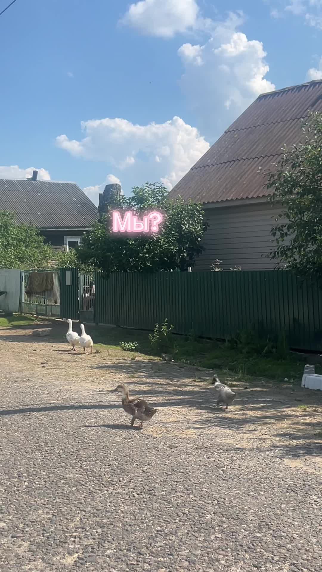@Дяна
