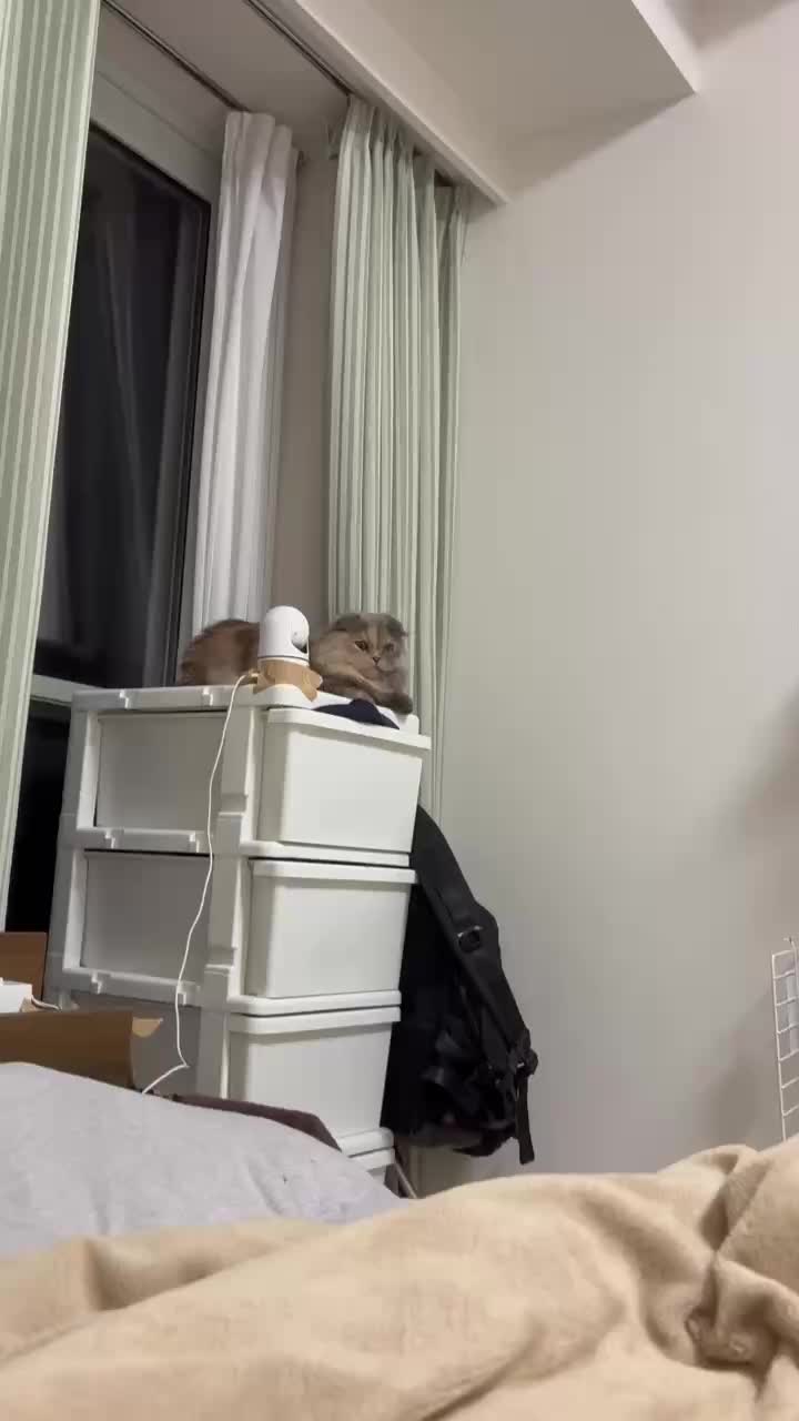 @マイクワゾウスキー