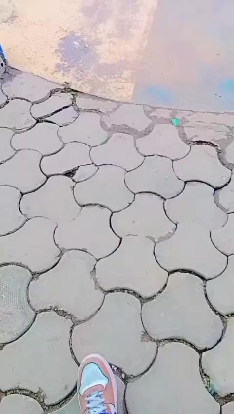 @RAj S. B 🇳🇵🇳🇵🇳🇵🇸🇦