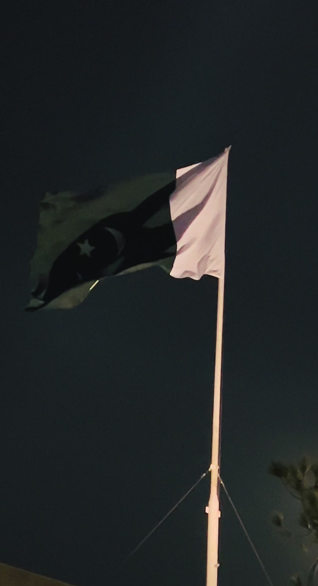 @The_Capital 🇵🇰
