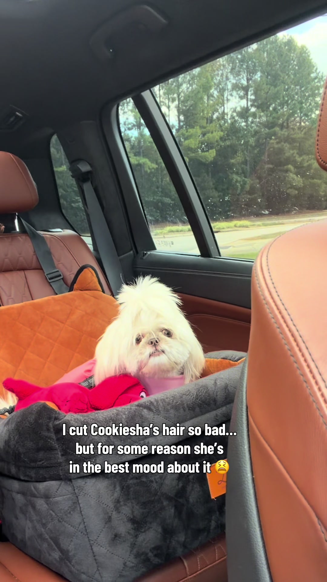 @nitaandcookiesha