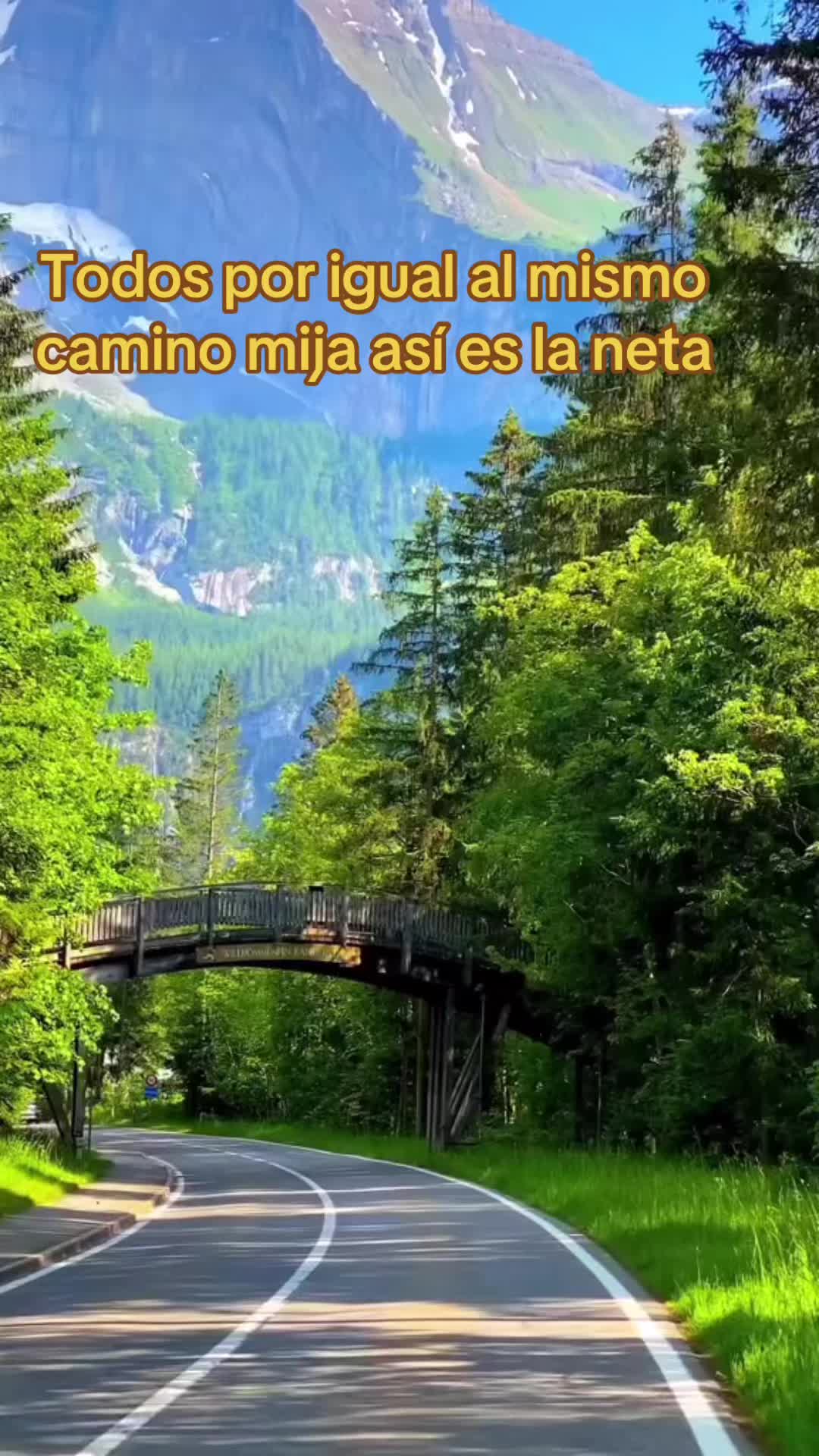 @N Hern&aacute;ndez . 💚🦋🇲🇽🇲🇽