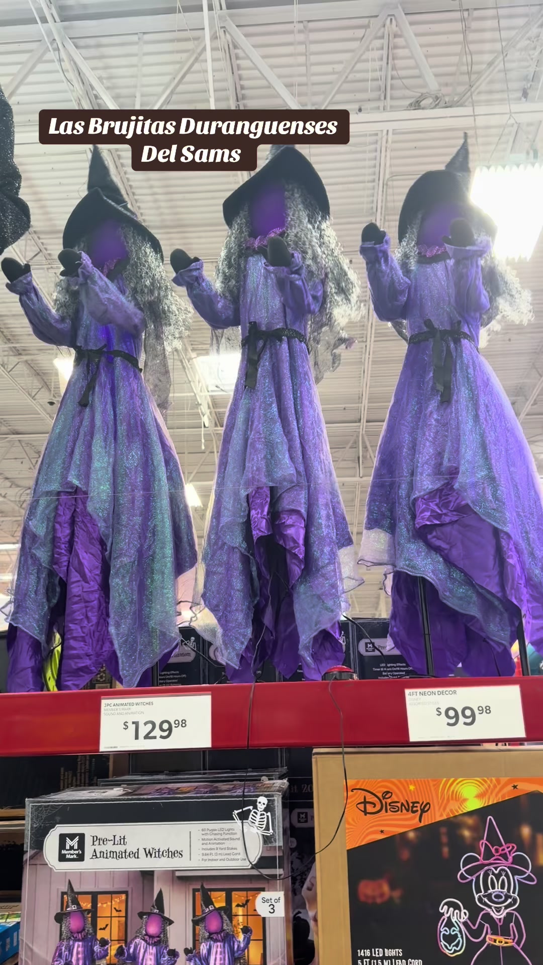 @𝓛𝓾𝓬𝔂 𝓥𝓲𝓵𝓵𝓪𝓻𝓻𝓮𝓪𝓵