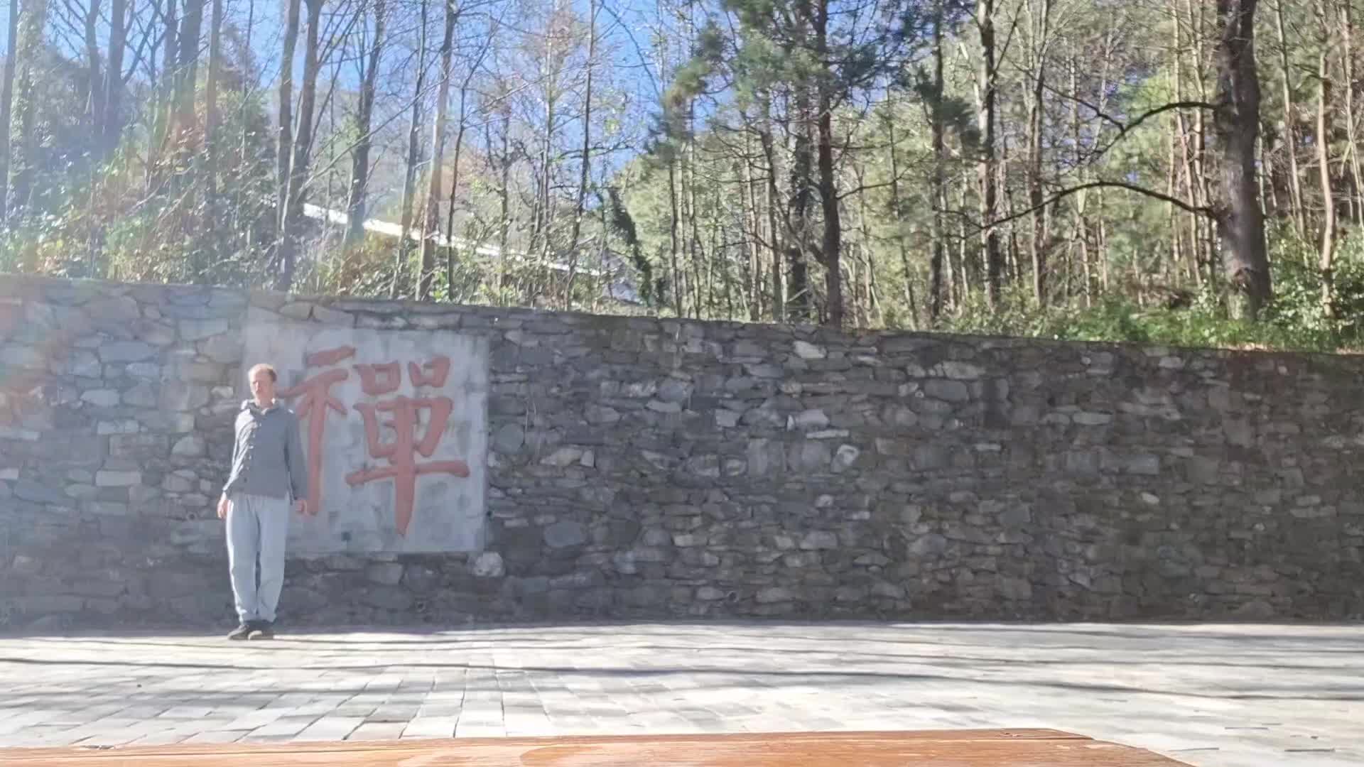 @shaolinkungfu