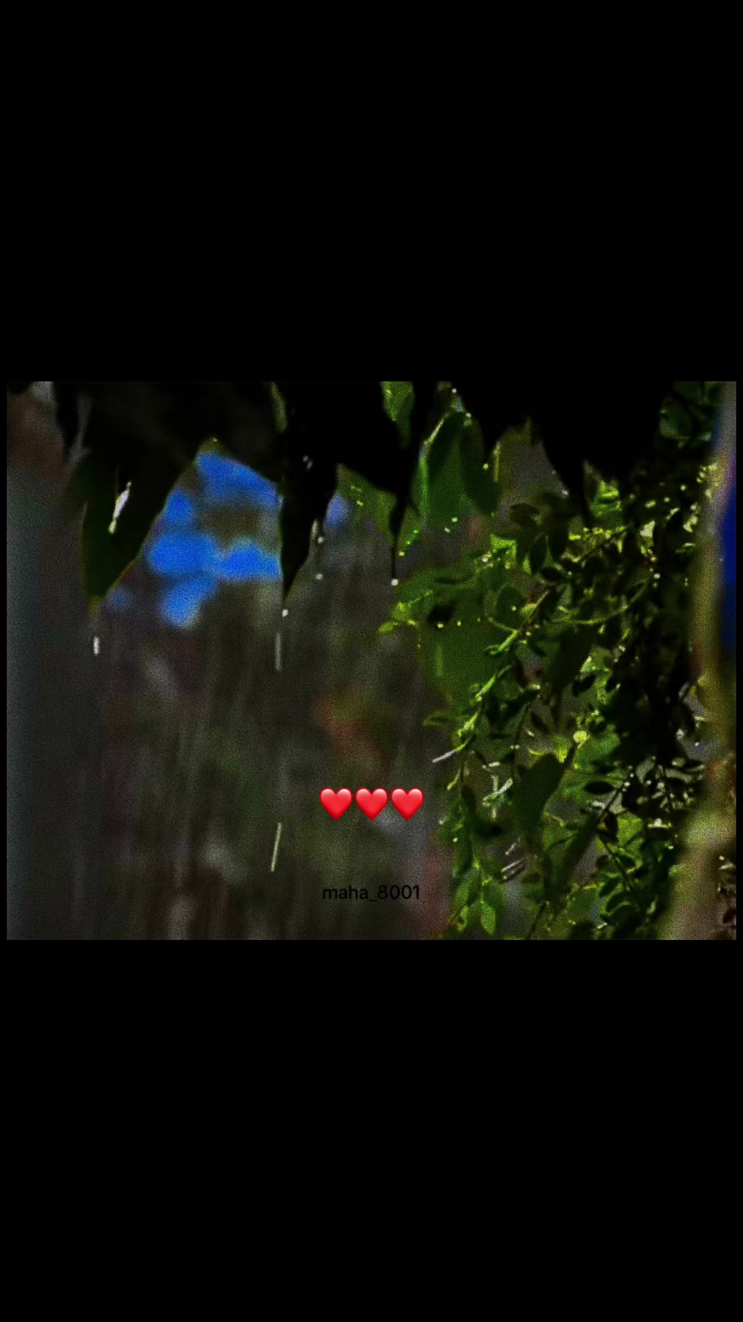 @قلب مطمئن🌿🕊️