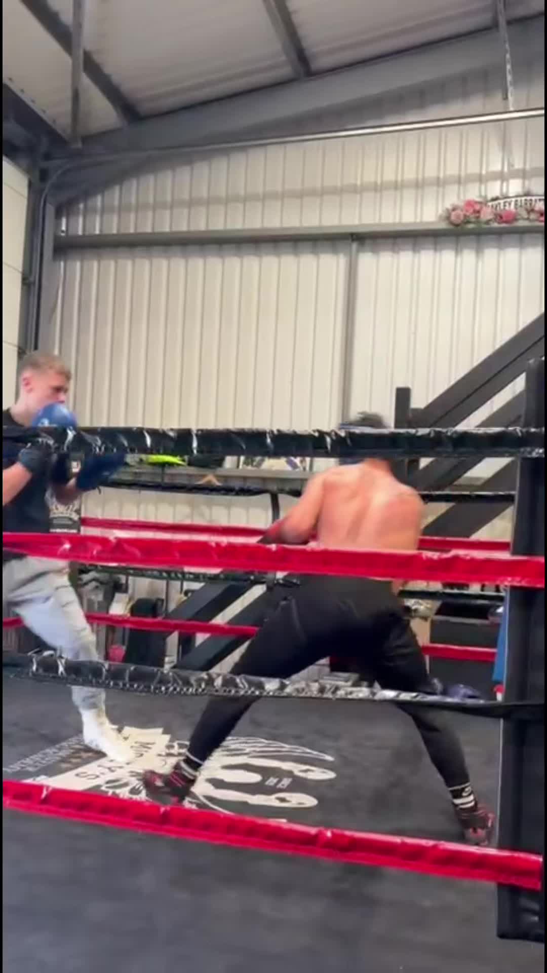 @sonnysharp