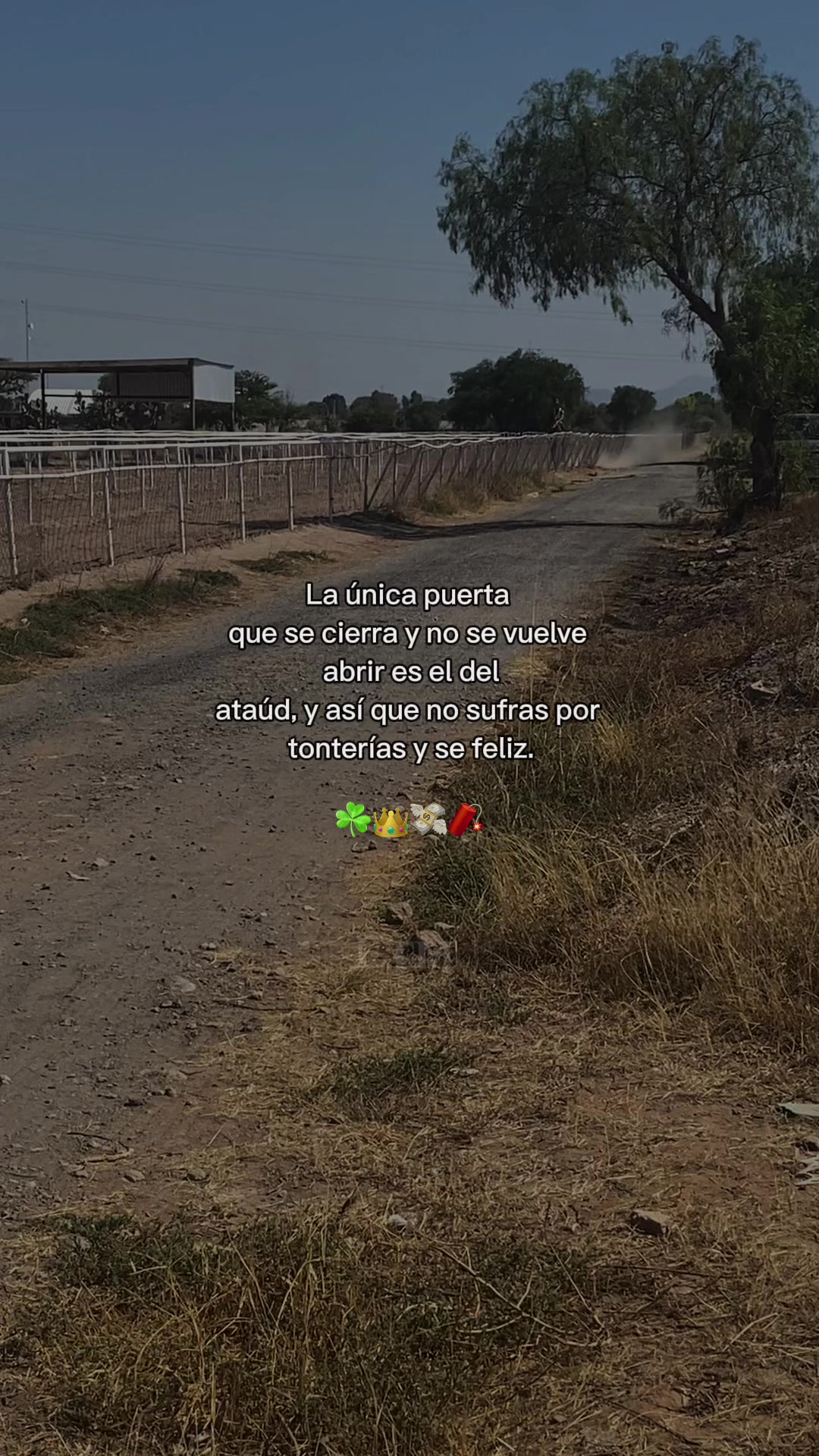 @Sandy Lara