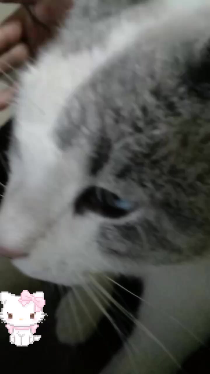 @MARIA ☆😸
