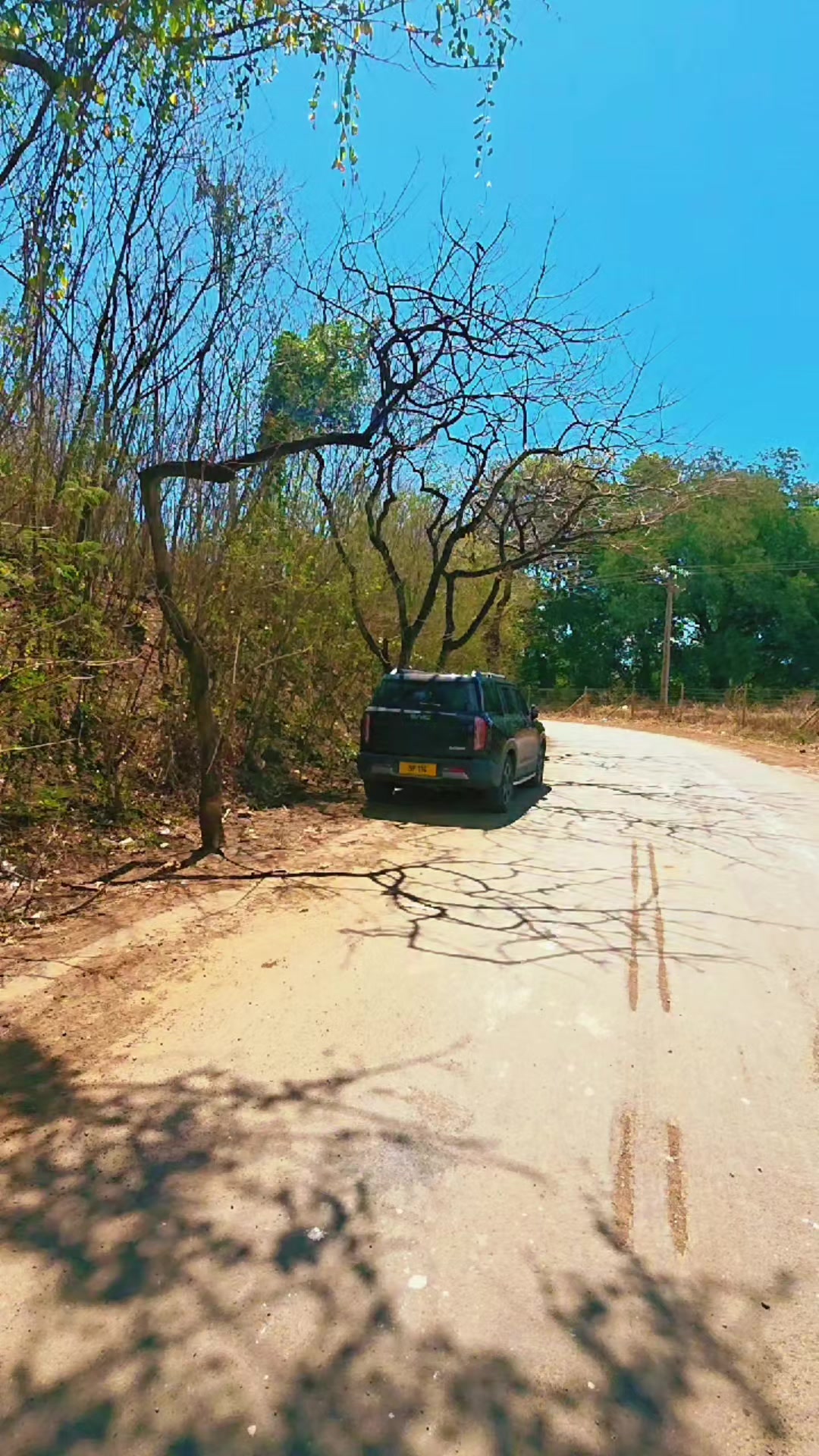 @Solo🇲🇺 🦤 🇲🇺