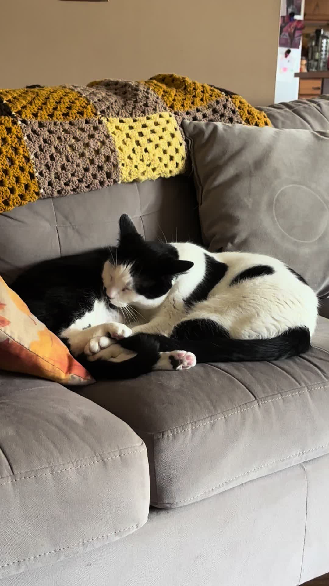 @Bratcats