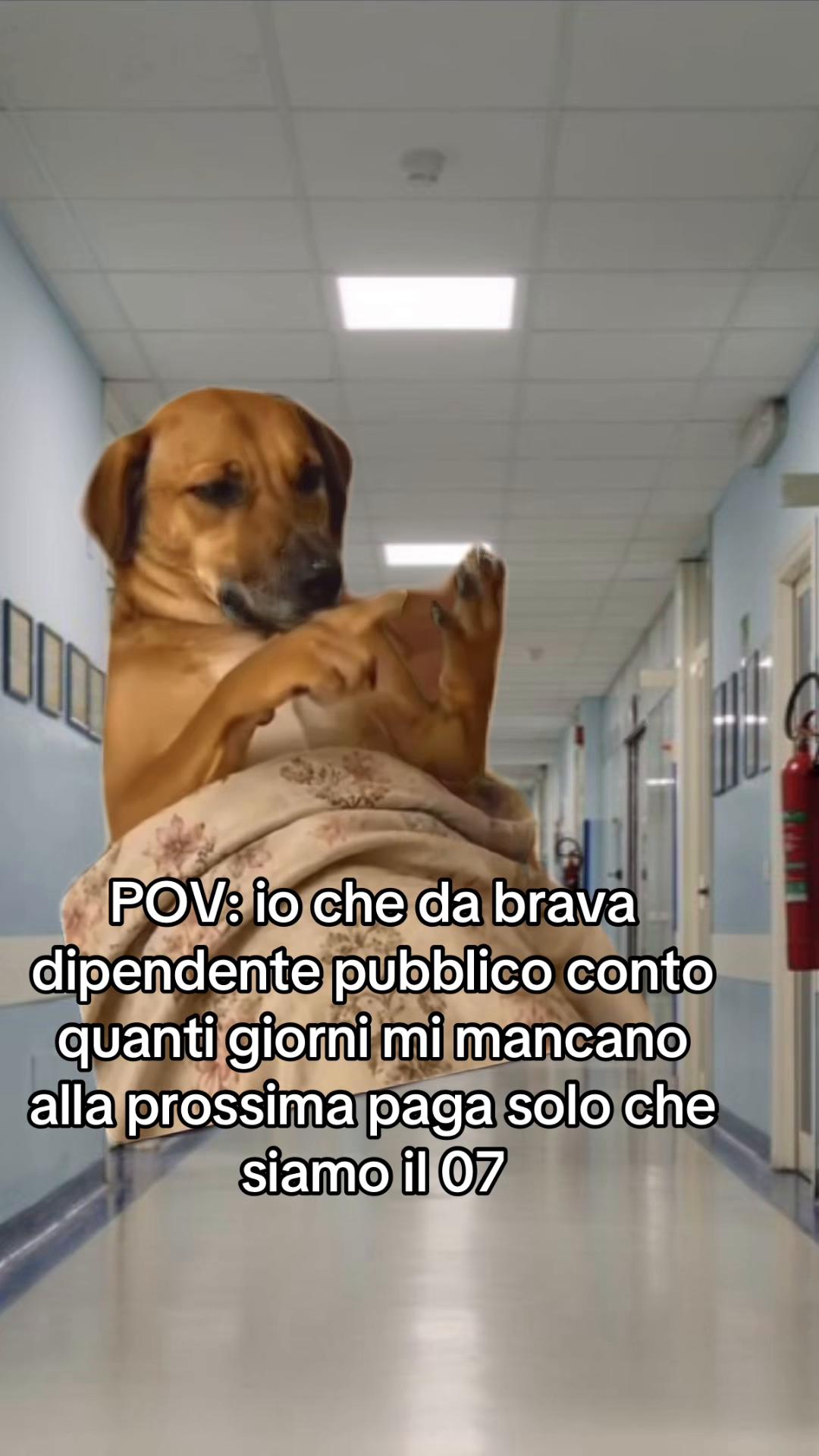 @sosocandy01