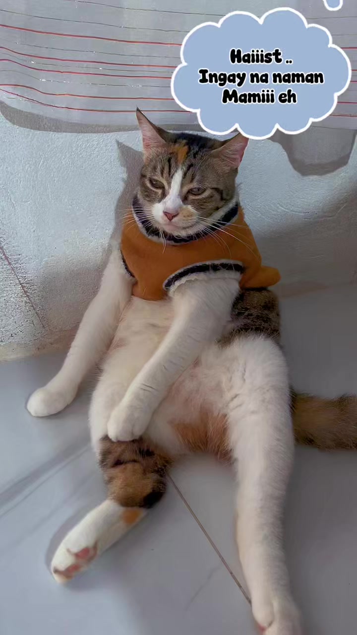 @MYRRH
