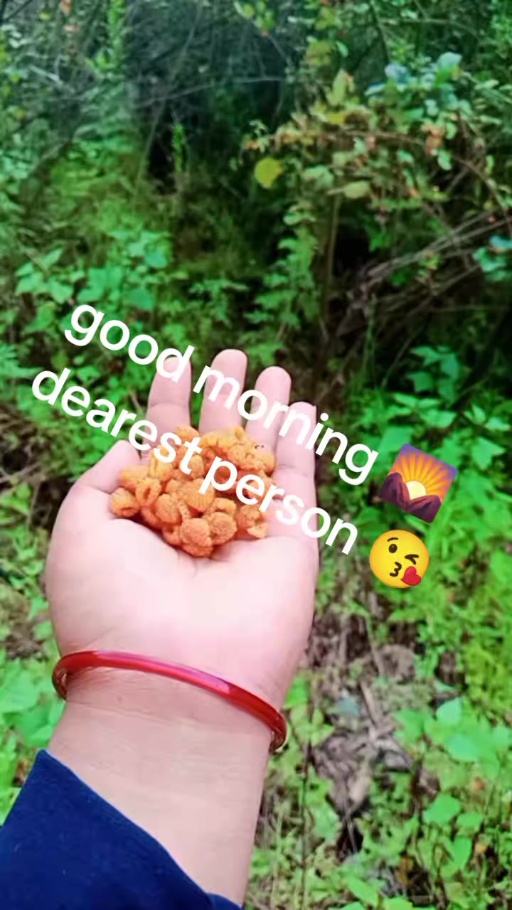 @sHaRMiLA~काउछा❣️