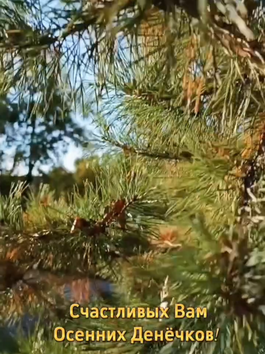 @Ольга