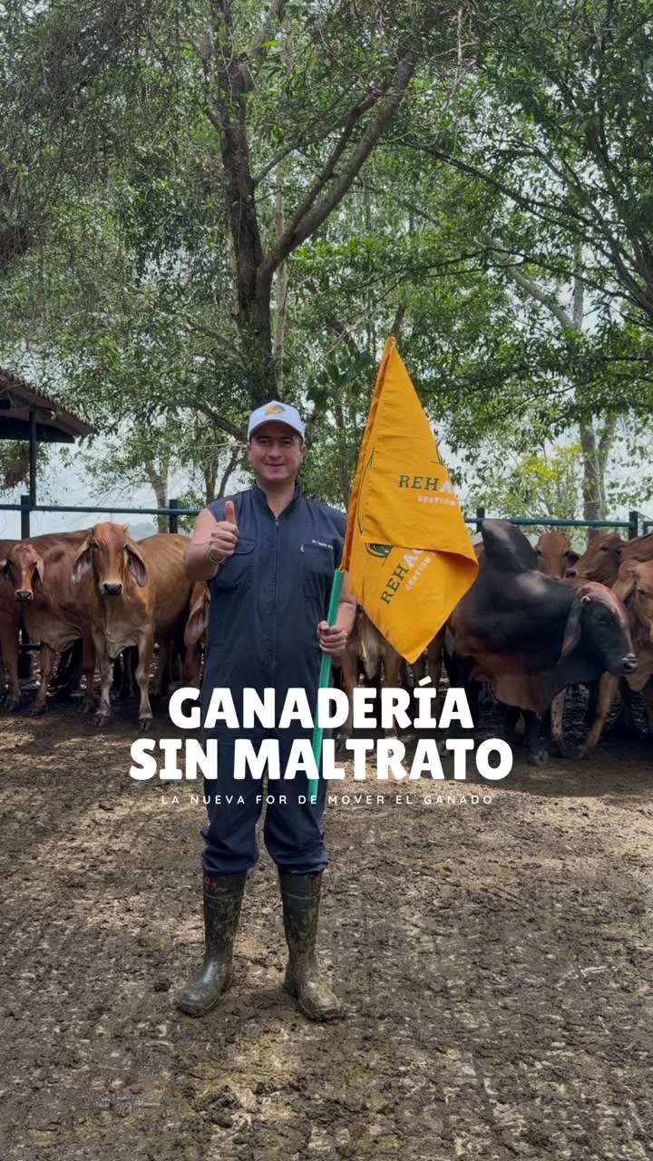 @Rehagronegocios