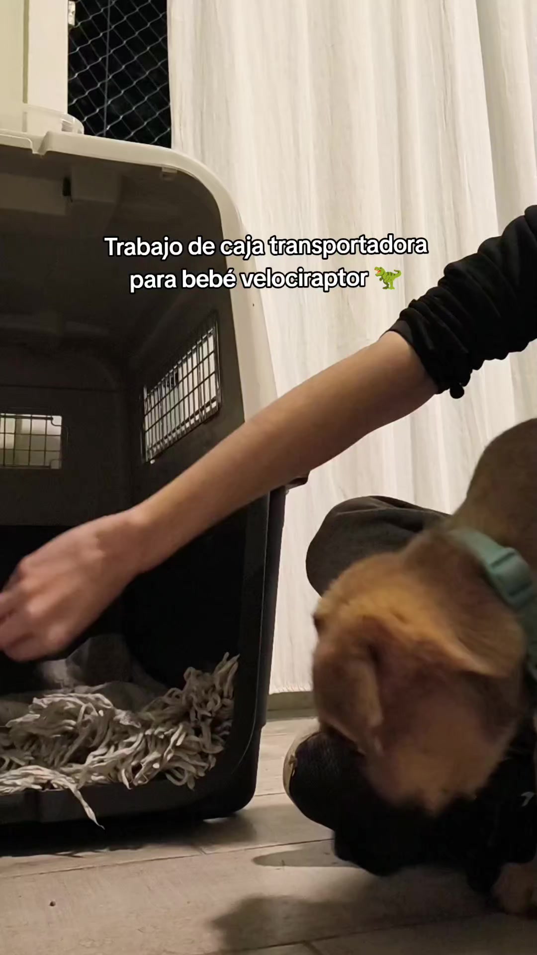 @ragnarito