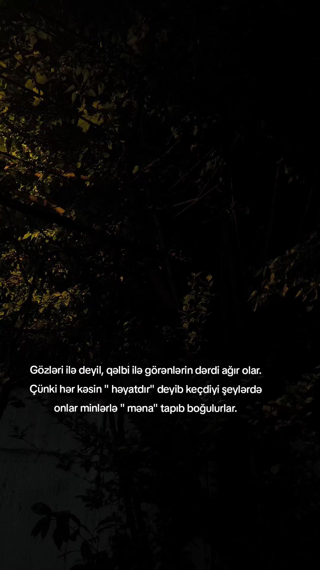 @Qruz Vaxtı