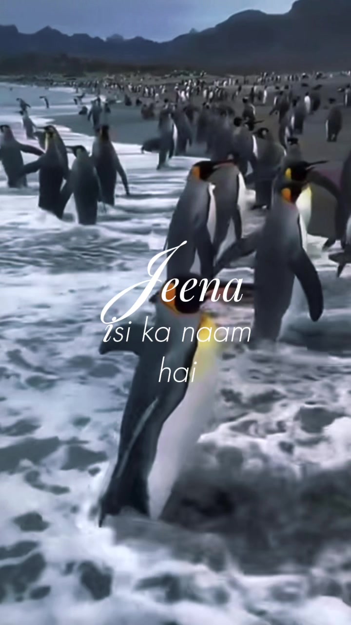 @░N░A░R░M░A░
