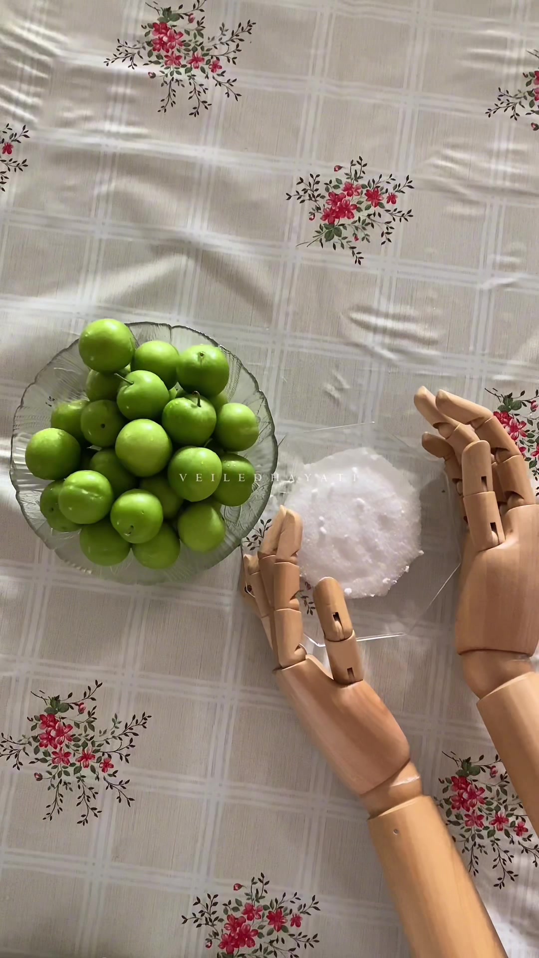 @𝒱𝑒𝒾𝓁𝑒𝒹 𝐻𝒶𝓎𝒶𝓉𝒾 &reg;
