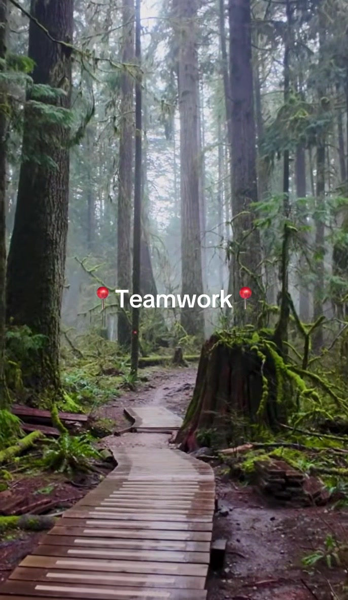 @Daily TeamWork