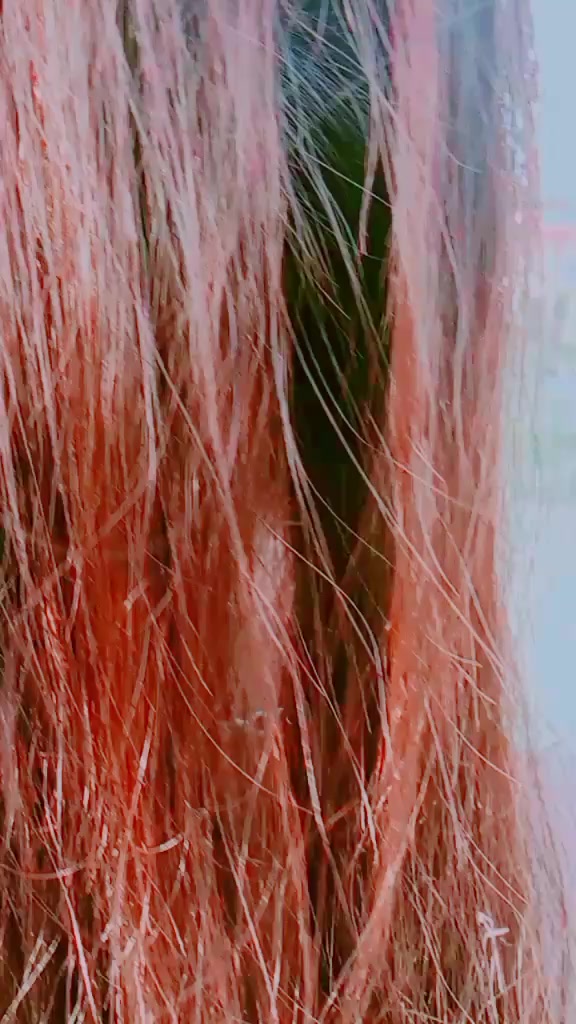 @꧁⪻&hearts;🌷💌𝓟𝗿ē𝗲𝒕𝑖💝💟&hearts;⪼꧂