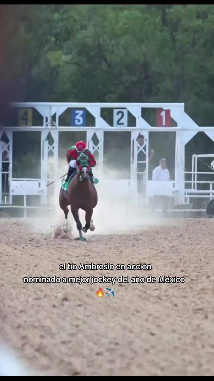 @carriles altos de jalisco🐎