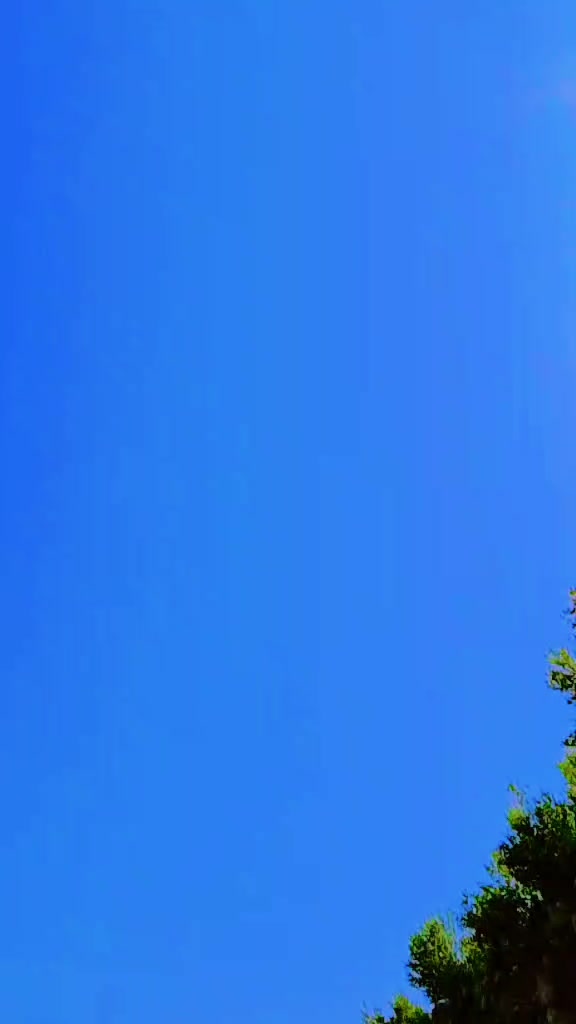 @sanatanha287