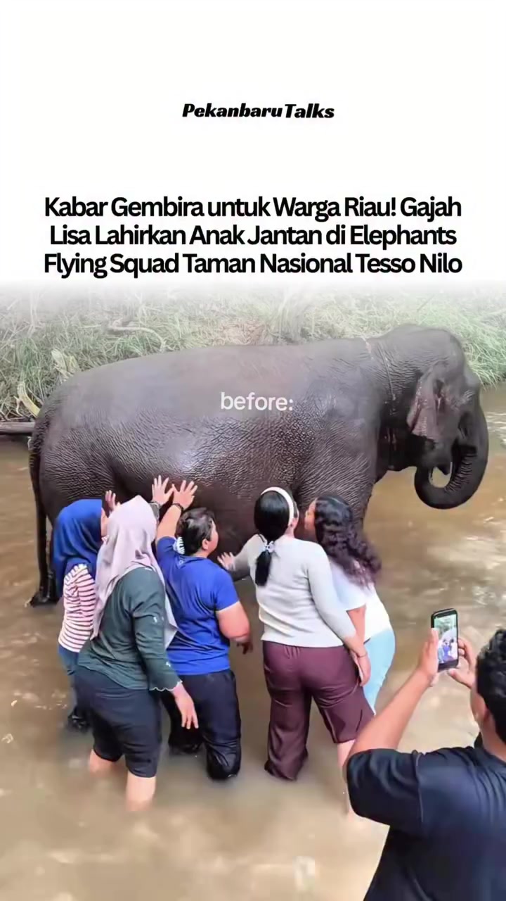 @PekanbaruTalks