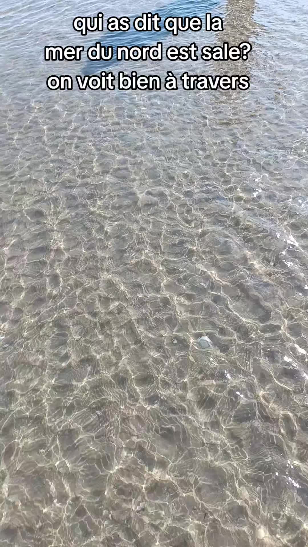 @Luly2683