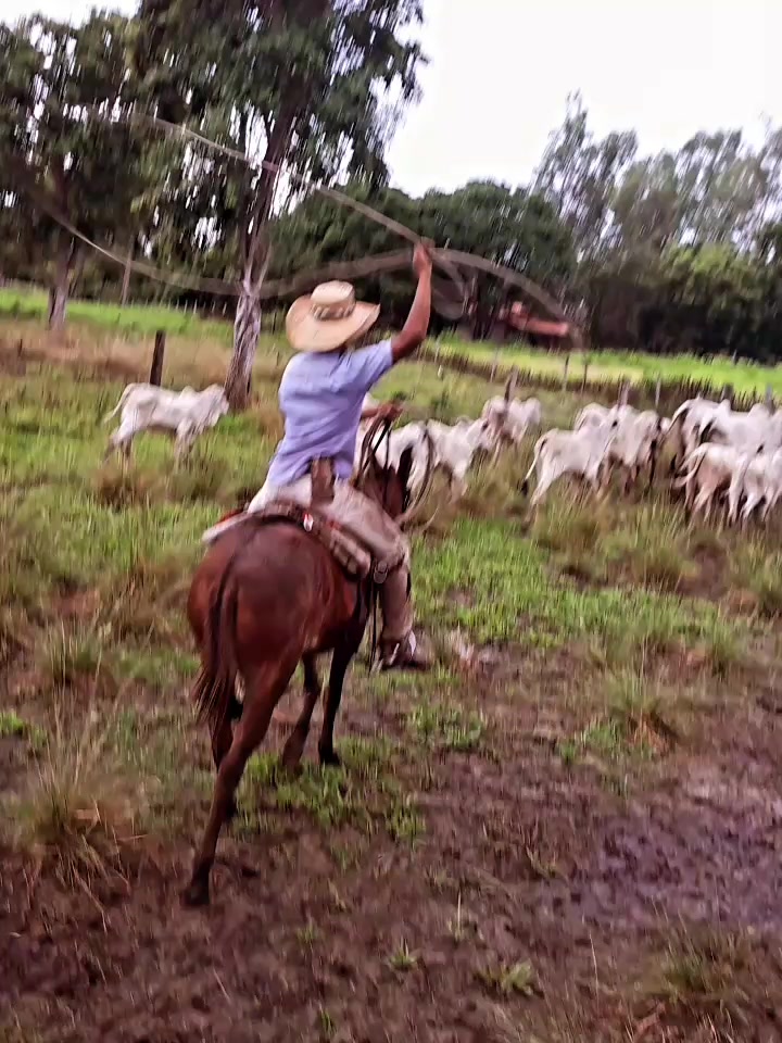 @Fernando Coelho