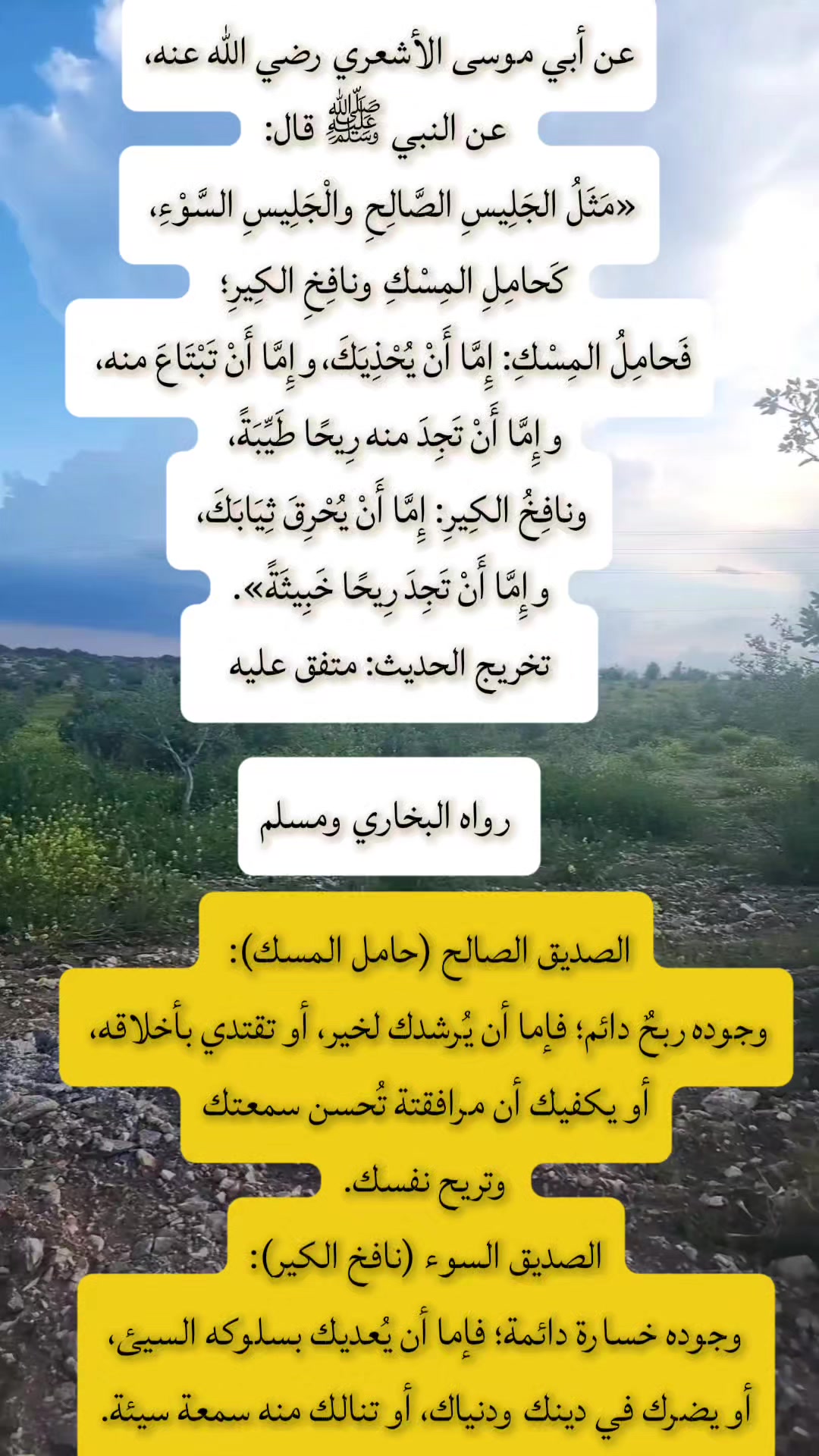 @مشكاة