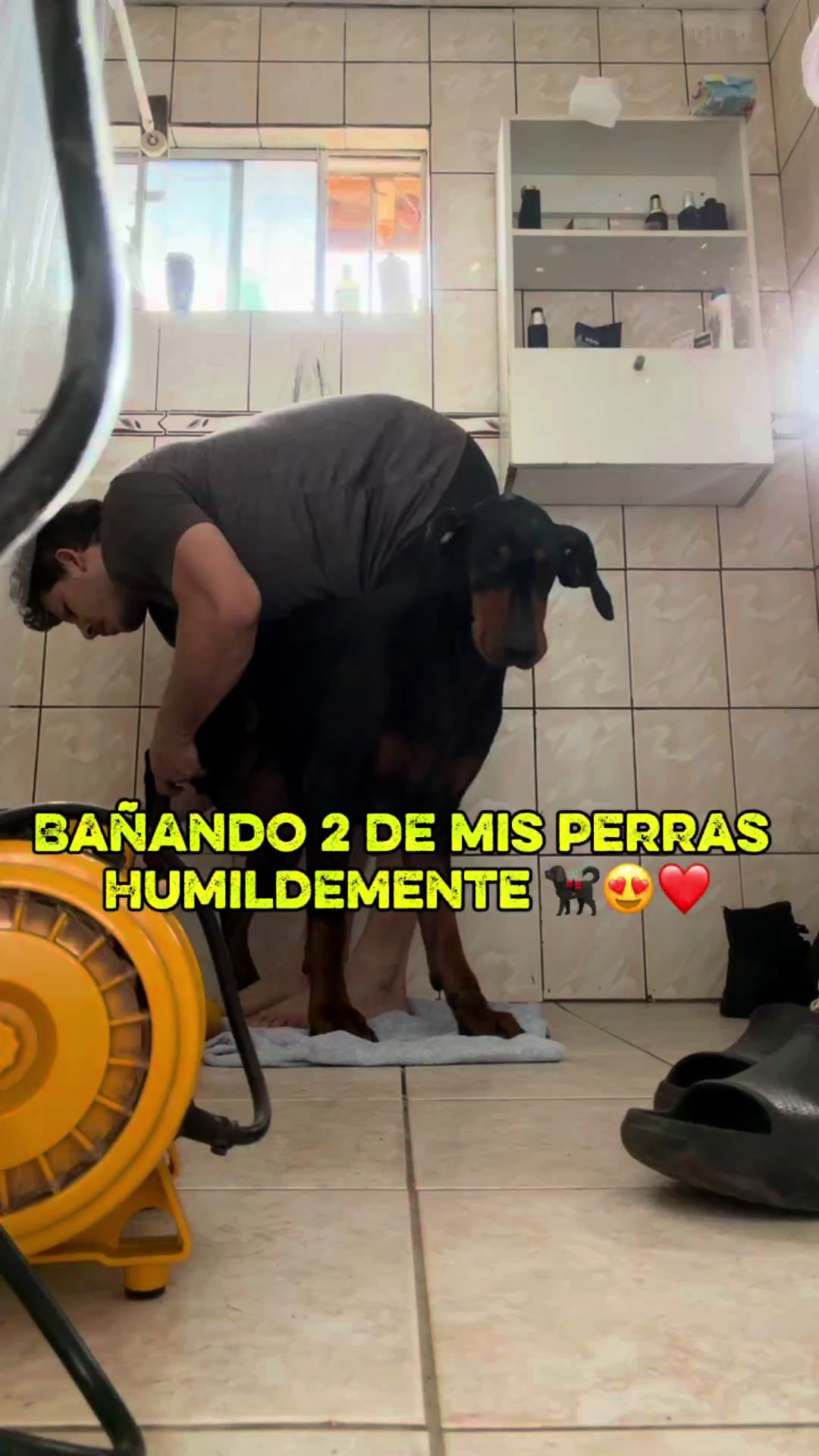 @nelsonrey