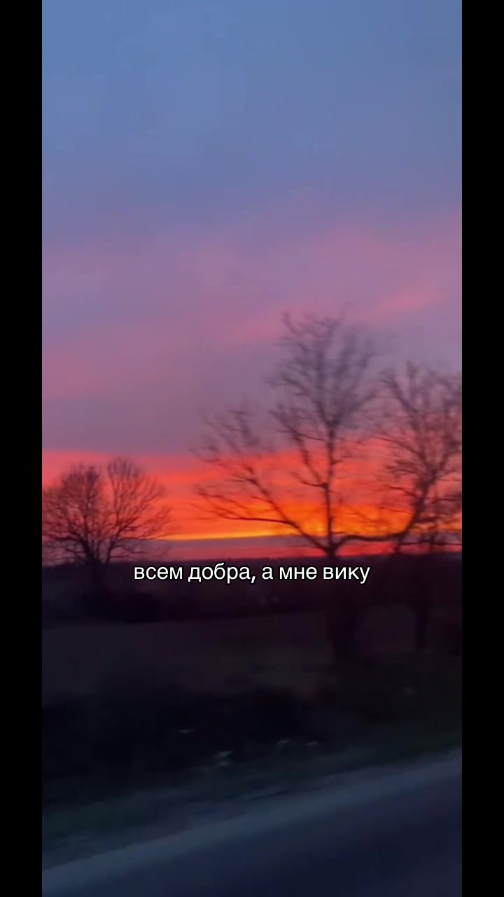 @люблю вику❣️🎸