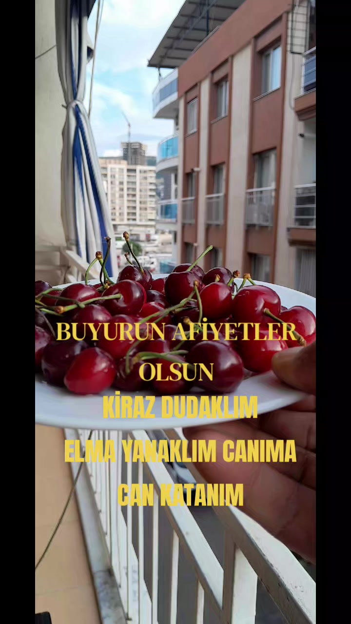 @Hasan Yılmaz